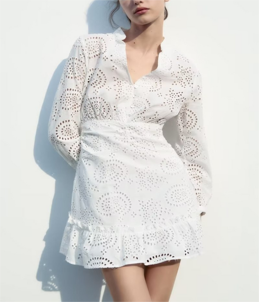 Hollow Out Embroidered Mini Dress